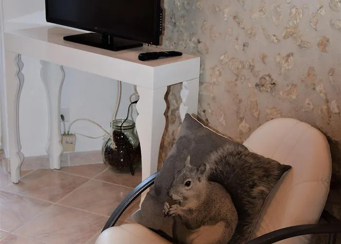 Le Des Ecureuils - *